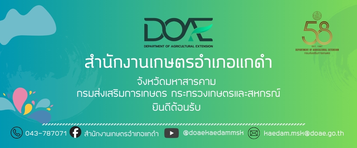 เวลคั่ม