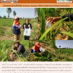 ข่าว เดือนมกราคม 2567